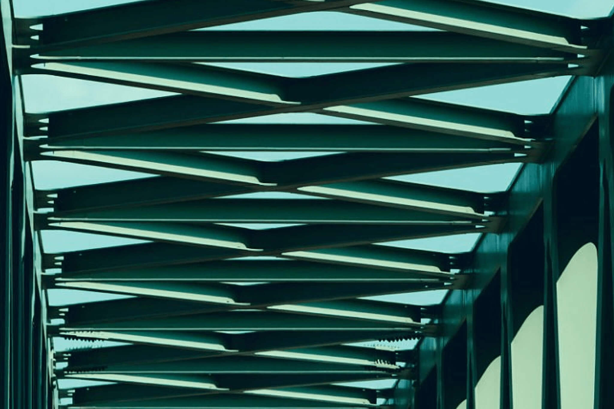 Bridging the CMO - CFO Gap